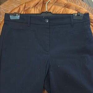 ANN TAYLOR Navy Ankle Length Trousers